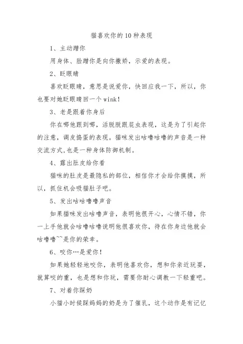 猫喜欢你的10种表现