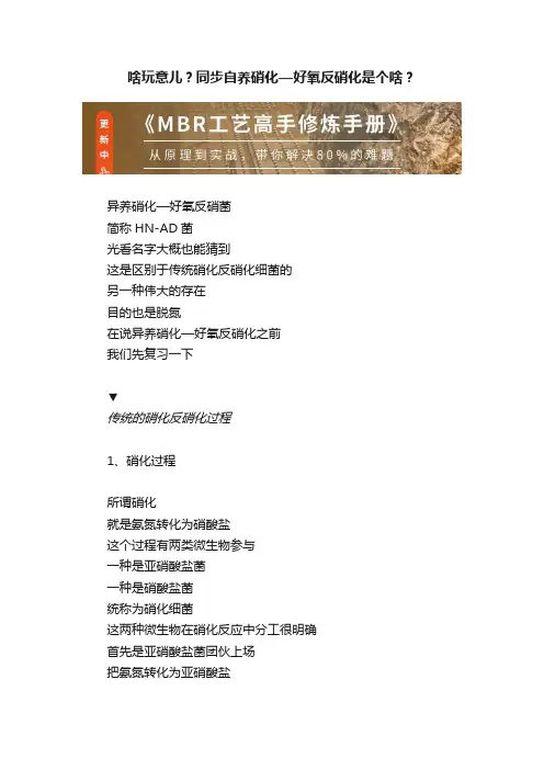 啥玩意儿？同步自养硝化—好氧反硝化是个啥？