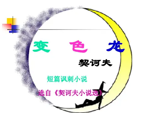 《变色龙〉解析