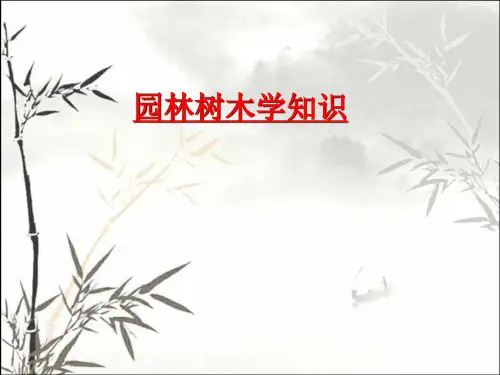 树木的生长发育规律 PPT