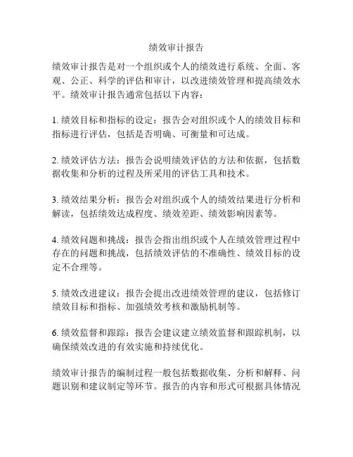 绩效审计报告
