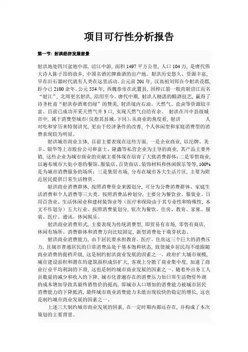 项目可行性分析报告_3