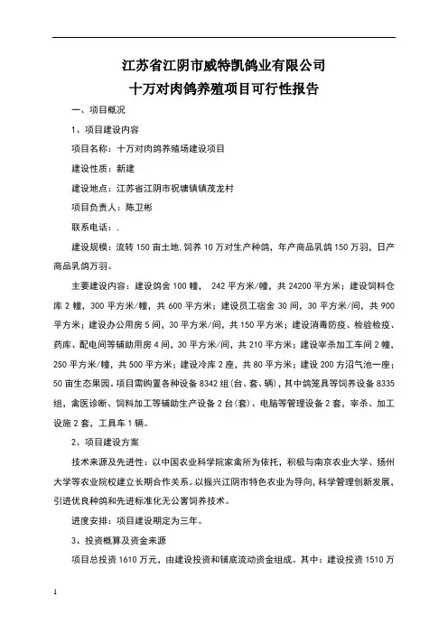肉鸽养殖项目可行性报告