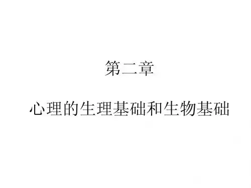 普通心理学  第二章  心理的生理基础和生物基础