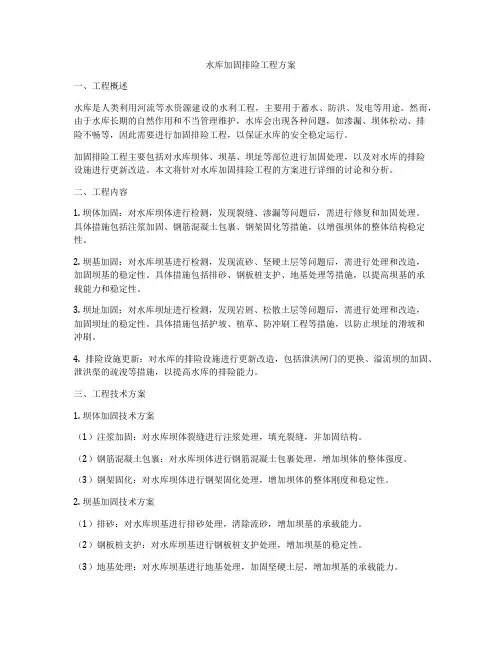 水库加固排险工程方案