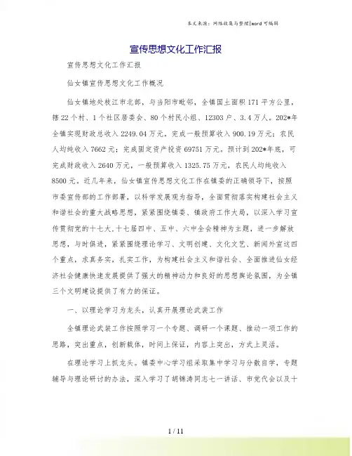 宣传思想文化工作汇报