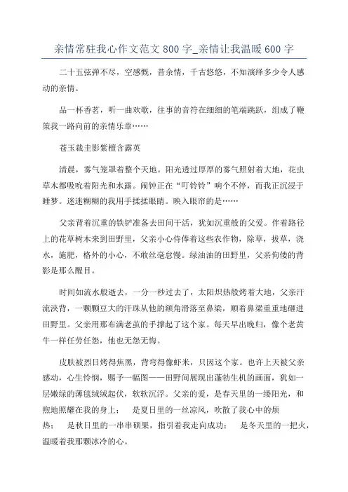 亲情常驻我心作文范文800字_亲情让我温暖600字
