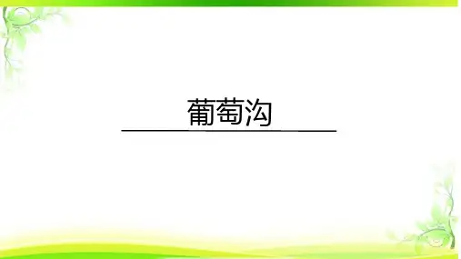 《葡萄沟》ppt课件