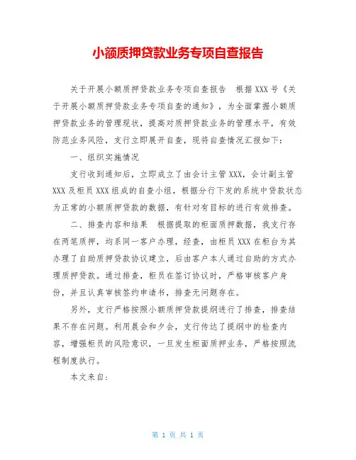 小额质押贷款业务专项自查报告