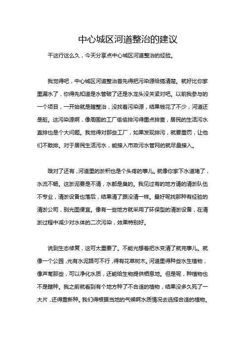 中心城区河道整治的建议