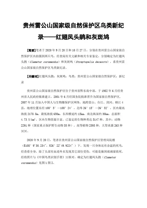 贵州雷公山国家级自然保护区鸟类新纪录——红翅凤头鹃和灰斑鸠
