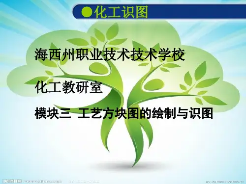 化工识图模块三工艺方块图资料