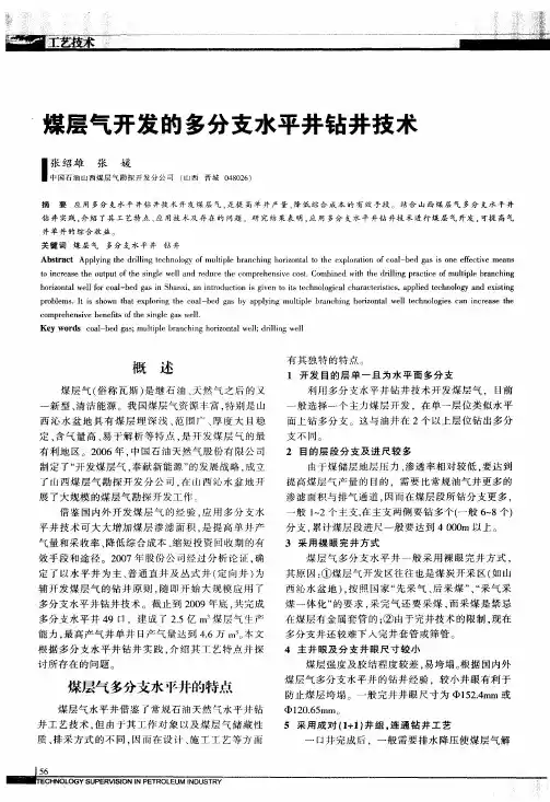 煤层气开发的多分支水平井钻井技术