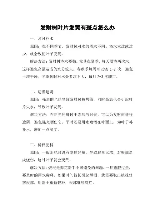 发财树叶片发黄有斑点怎么办