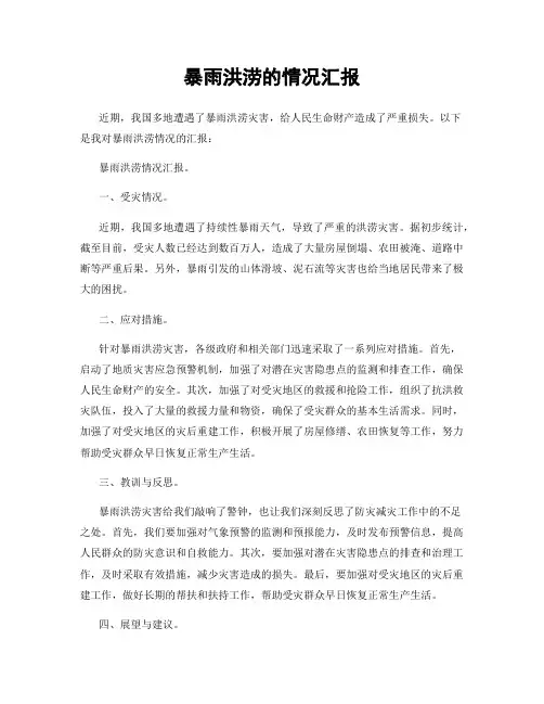 暴雨洪涝的情况汇报