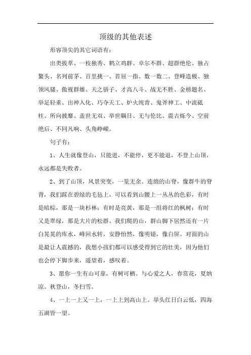 顶级的其他表述