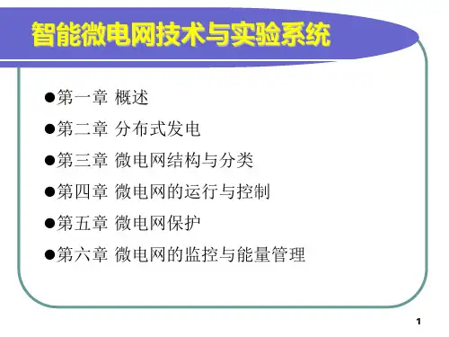 智能微电网技术与实验系统完整版课件全套ppt教程最新