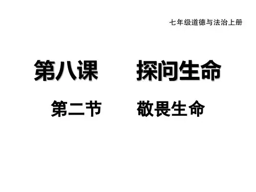 人教版七年级政治第四单元  第八课  第二节  敬畏生命
