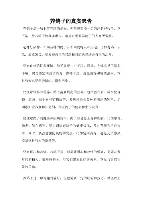养鸽子的真实忠告