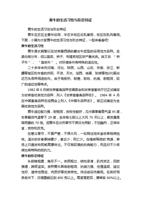 黄牛的生活习性与形态特征