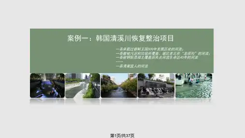 滨水公园案例分析PPT课件