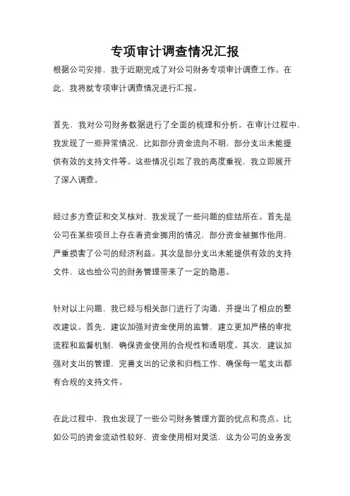 专项审计调查情况汇报