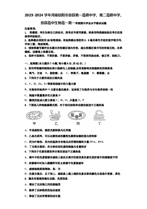 2023-2024学年河南信阳市息县第一高级中学、第二高级中学、息县高中生物高一第一学期期末学业水平