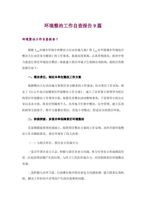 环境整治工作自查报告9篇