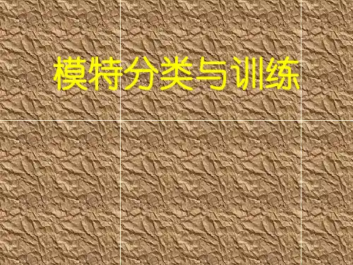 模特分类与训练PPT课件