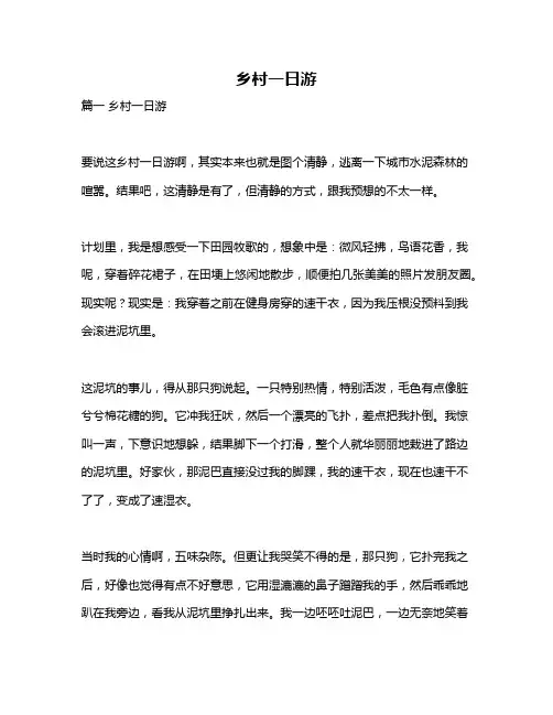 作文《乡村一日游》