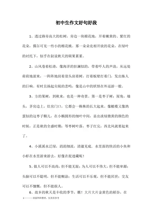 初中生作文好句好段
