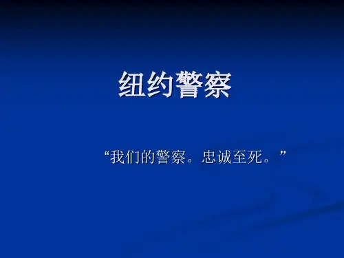 纽约警察