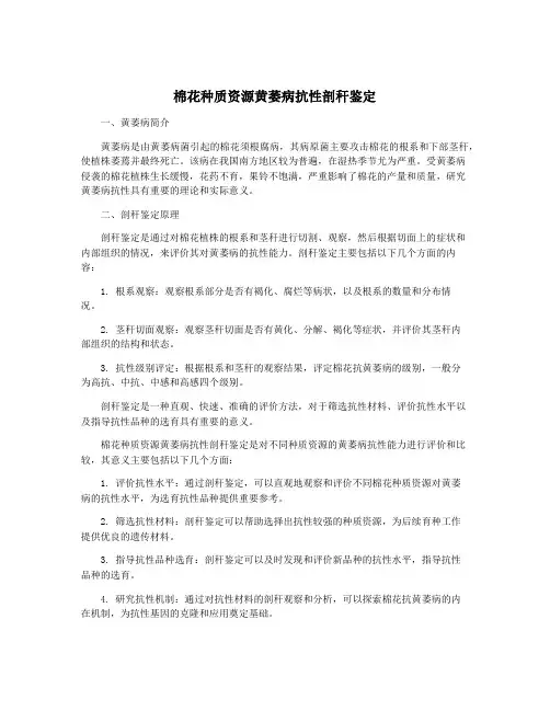 棉花种质资源黄萎病抗性剖秆鉴定