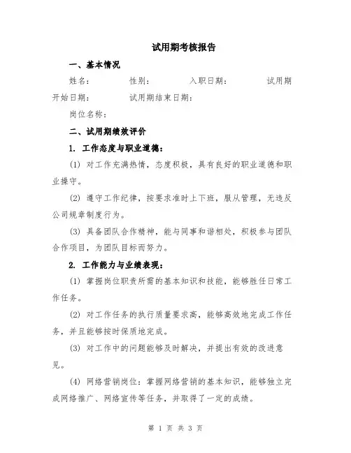 试用期考核报告