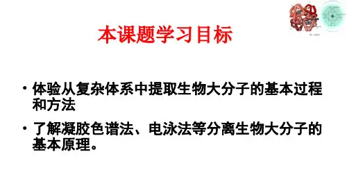 课件-血红蛋白的提取和分离.ppt
