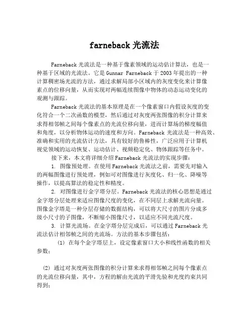 farneback光流法