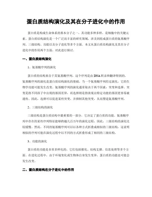 蛋白质结构演化及其在分子进化中的作用