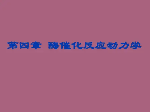 酶四章-酶的催化作用ppt课件