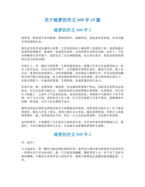 关于绿萝的作文600字10篇