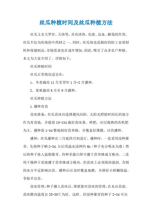 丝瓜种植时间及丝瓜种植方法