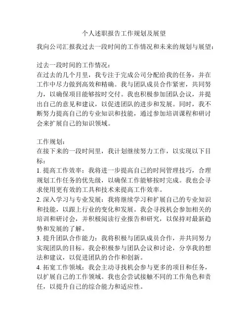 个人述职报告工作规划及展望