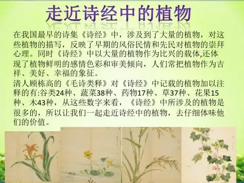 植物与传统文化之走近诗经中的植物