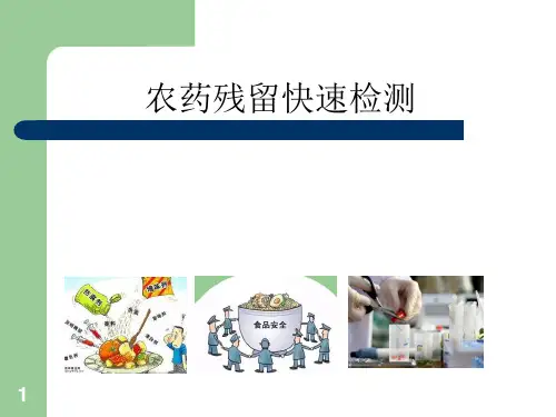 农残快检PPT课件