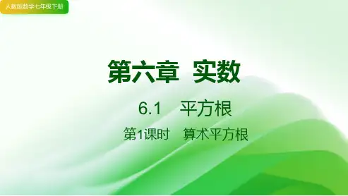 6.1 平方根  课件 2023-2024学年人教版数学七年级下册