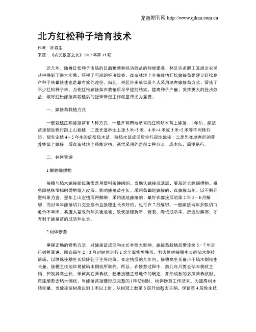 北方红松种子培育技术