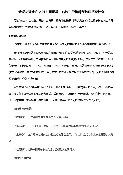 绽放营销精英招募计划