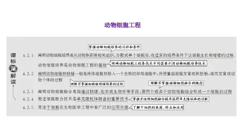 高三总复习生物课件 动物细胞工程