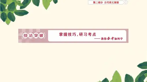 2019届高考语文(苏教版)复习资料课件：第二部分 专题一 文言文阅读 2 考点一 理解常见文言实词在文中的