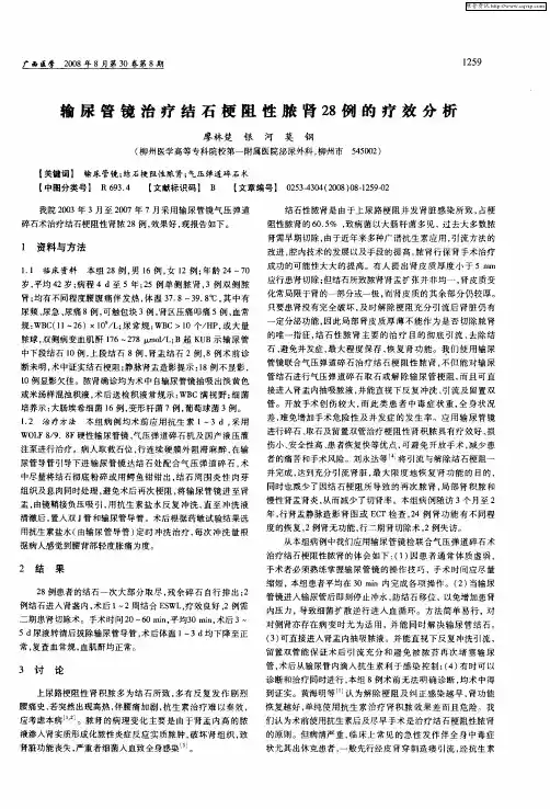 输尿管镜治疗结石梗阻性脓肾28例的疗效分析