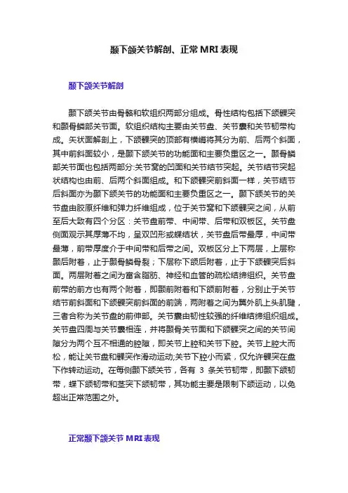 颞下颌关节解剖、正常MRI表现